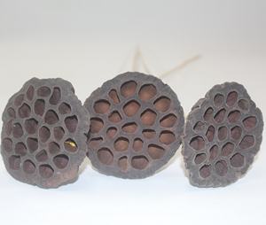 ก้านตกแต่งทำมือสำหรับกระถางดอกไม้ เหมาะสำหรับทุกเทศกาล  ผลิตจากฝักบัวธรรมชาติแท้เกรด A สำหรับตกแต่งบ้าน - Product Image 5