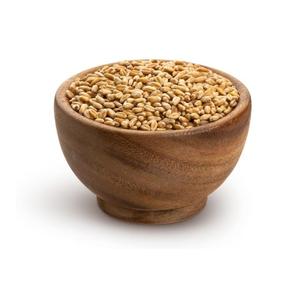 Grano de Trigo Rojo Duro de Primera Calidad para la Fabricación Industrial de Harina y Procesamiento de Alimentos, Listo para OEM - Product Image 1
