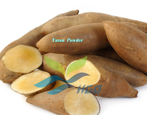 Poudre de Yacon Pure et Naturelle de Qualité Alimentaire, Fourniture Directe d'Usine HGO – Poudre Végétale ou Fruitée - Product Image 3
