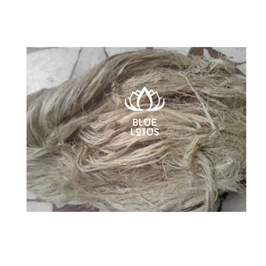 EXPÉDITION LE JOUR MÊME Fibre de banane écologique, sûre et propre 2026 Matière végétale pure Idéal pour la fabrication artisanale et la fabrication de papier Prix direct - Product Image 1