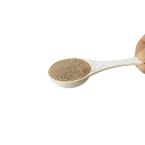 Poudre de Hojicha (thé vert torréfié) instantanée commerciale NS - Product Image 3