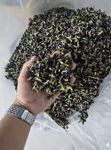 Fleur de pois papillon riche en anthocyanes pour le soutien des fonctions oculaires et cérébrales – Prix de gros pour l'approvisionnement en produits à base de plantes - Product Image 3