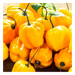 พริกฮาบาเนโรสด บรรจุภัณฑ์แบบกำหนดเอง แบรนด์ส่วนตัว สำหรับผู้ซื้อระหว่างประเทศ - Product Image 2