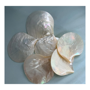 Plateau en nacre naturelle fait main, coquille de mer décorative, plateau de luxe pour la maison, cadeau de vaisselle de table - Product Image 1