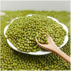 Venta al por Mayor de Frijoles Mung Verdes a Precio de Fábrica - Product Image 6