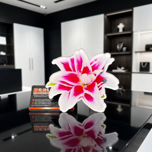 HARL Nouveau Design 2026 : Plaques à Cils Écologiques et Durables pour Extensions de Cils, Logo Personnalisé, Forme Fleur Magnétique, Outil de Beauté en Acrylique - Product Image 6