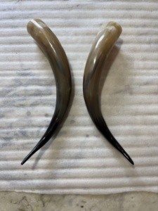 Par de Cuernos de Búfalo Pulidos para Decoración de Pared, Diseño Art Deco, Grandes de 27 a 35 Pulgadas, para Bodas, Cumpleaños, Aniversarios - Product Image 4