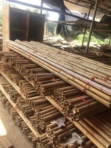 Poteaux en bambou doré du Vietnam, paquet de 1 à 10 m de long, solides et épais, pour l'agriculture, la construction et la décoration intérieure - Product Image 4