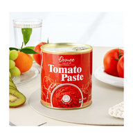 Pâte de tomate en conserve de qualité supérieure, 100 % pure, goût sucré, sans additifs, durée de conservation de 24 mois, best-seller