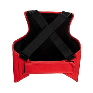 Protège-poitrine pour Taekwondo, Karaté, Arts Martiaux, Équipement de Protection pour Adultes/Jeunes, Protection Professionnelle pour l'Entraînement de Boxe - Product Image 4