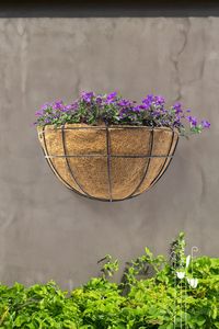 Produits de jardinage en fibres de coco naturelles, matériaux de plantation durables en coco coir pour l'hydroponie, le jardin de balcon et les plantes d'intérieur - Product Image 6