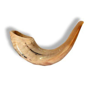 Corne de Shofar en Corne de Bœuf Naturelle Artisanale la Plus Vendue, Prix de Gros en Inde, Qualité Standard Spéciale Supérieure - Product Image 5