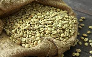 Top Vietnam Organic Robusta Green Coffee <b>Beans</b> Size 16 Export Standard USDA Certified 100% Natural Coffee Farm TNFOOD Brand AA+ - Product Image 6