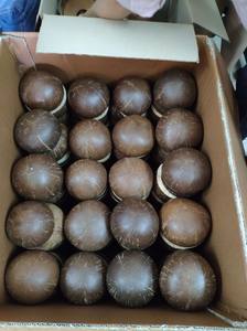 Tazón de cáscara de coco de alta calidad utilizado para comer ensalada de frutas en escabeche // Lima - Product Image 5