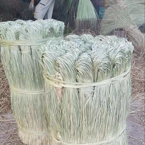 หญ้าทะเลแห้งสำหรับสาน ความยาว 1.3 เมตร หญ้าทะเลธรรมชาติสำหรับงานฝีมือและเฟอร์นิเจอร์ ราคาแข่งขันจากผู้ผลิต ANGLE 12 - Product Image 1