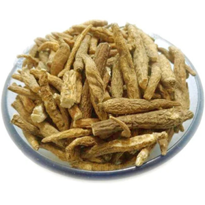Aconit amer / Aconitum Heterrophyllum / Aconit indien - Product Image 1