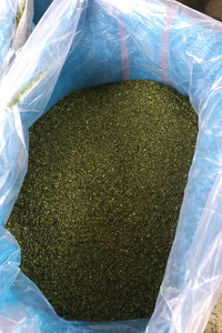 DRIED GREEN SEAWEED POWDER - DRIED SEAWEED FLOUR / PURE ULVA LACTUCA for Animal Feed / Ms. Alina - Product Image 4