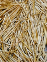 Pailles jetables en paille de blé, couleur naturelle, style classique, paquet de 50 pièces, biodégradables, écologiques, sans plastique, durables, pour les fêtes