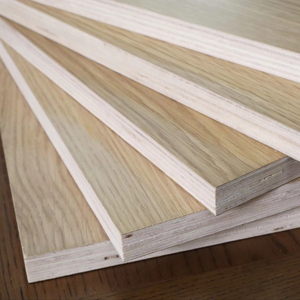 Decorative <b>Panel</b> Birch Veneer Faced Plywood High Quality Rotary Cut Flat Surface Double Sided Interior Use - Product Image 1