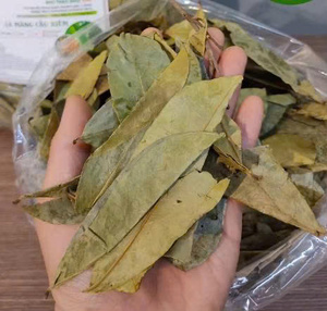 Hojas de guanábana secas y procesadas con cuidado para té de hierbas, bebidas de bienestar y aplicaciones botánicas naturales - Product Image 6