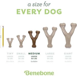 Giocattolo da Masticare a Forma di Wishbone Resistente per Cani Aggressivi, Giocattolo per Cani Attivi - Product Image 2