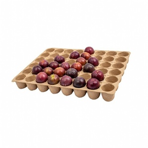 Fruit Packaging Eco-Friendly Anti Break Compostable Molded <b>Pulp</b> Tray Fresh Fruit Tray From Vietnam Manufacturer Paper Boxes - Product Image 2