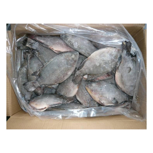 ปลาทิลาเปียแช่แข็งสำหรับขายส่ง - Product Image 2