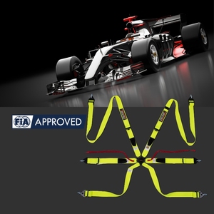 สายรัดนิรภัยสำหรับรถแข่ง Track Ready FIA 8853 2016 TBRACING แบรนด์ส่วนตัว ขายส่ง ตัวปรับเหล็กขนาด 2 นิ้ว และสายรัดแบบปลดเร็ว - Product Image 4