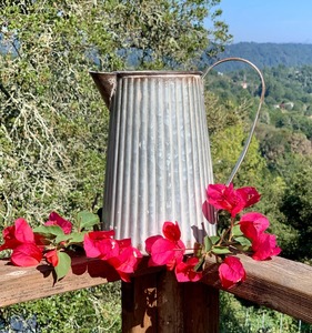 Maceta Galvanizada Estilo Jarra, Maceta de Metal Rústica para Decoración de Hogar, Jardín, Balcón y Patio, Pieza Decorativa Multiusos - Product Image 6