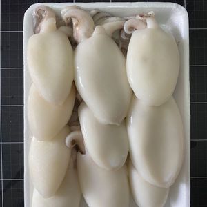 Calamar Bebé Congelado Tender Ocean Bite para Importadores de Mariscos y Cocina Asiática - Product Image 3