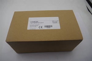 Cầu chì điện áp thấp Đặc điểm khối cầu chì sứ ô tô 1100A 690V 170m6265 cầu chì cực chất lượng cao - Product Image 6