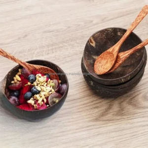 Natural <b>Coconut</b> <b>Bowl</b> Set Premium Eco Friendly Durable Dinnerware with Wooden Spoon for Serving Fruit Salad and Desserts - Product Image 2