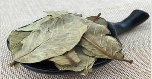 Té de Hoja de Guayaba Natural Premium, Grado Alimenticio, Té Herbal, Fabricante Vietnamita, OEM, Marca Privada, Venta al por Mayor, Secado al Sol, Empaquetado - Product Image 6
