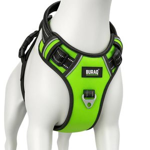 Arnés Ajustable para Perros, Cómodo, Antitirones, con Hebilla Segura, de Poliéster, para Perros Pequeños, Medianos y Grandes - Product Image 1
