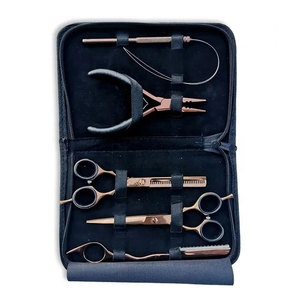 Kit de Herramientas Profesionales para Extensiones de Cabello Humano de Alta Calidad con Tijeras de Peluquería, Color Plata y Oro Rosa, con Logotipo Personalizado, Precio al por Mayor - Product Image 2