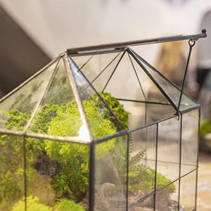 Terrarium en verre style serre avec toit ouvrant pour plantes d'intérieur, succulentes, mousse, décoration intérieure et mise en scène de table - Product Image 6