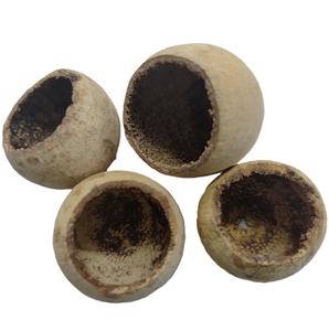 Mini Campanas Naturales Secas de Planta, las Más Vendidas, para Potpourri, Manualidades y Arte, Disponibles en Colores Teñidos, Blanqueados y con Brillo - Product Image 3