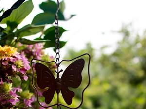 Chaîne de pluie décorative en forme de papillon pour l'entrée de la maison, drainage d'eau, jardin extérieur, chaîne métallique suspendue, vente en gros depuis l'Inde - Product Image 6