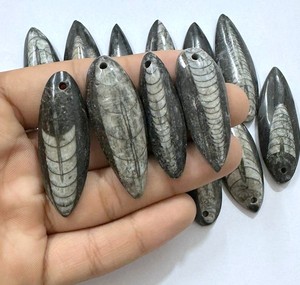 Cristal Natural de Orthoceras Cabujón, Cabujón de Piedra de Pez, Cabujones de Orthoceras Hechos a Mano, Colgante de Orthoceras al por Mayor de Buena Calidad - Product Image 2