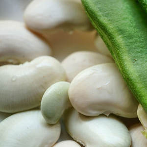 Mejor Precio, Nueva Cosecha de Frijoles Blancos, Color Brillante, Recogidos a Mano, Pulidos, Frescos, Aroma Neutro, Frijoles de Terciopelo, Precios con Descuento por Volumen - Product Image 2