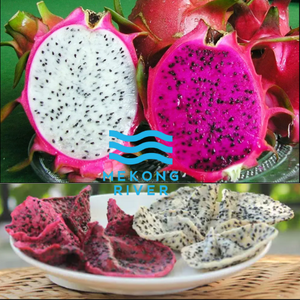 Tranches de fruit du dragon séché de qualité supérieure, origine Vietnam, rivière du Mékong, 100% naturel, certifié HACCP ISO, durée de conservation de 12 mois, prêt à consommer - Product Image 5