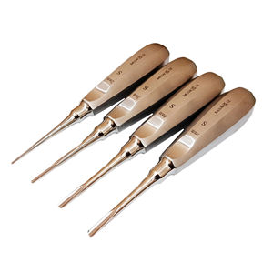 Elevadores Dentales Rectos de Acero Inoxidable de Grado Premium para Extracción de Dientes, Disponibles en Tamaños de Punta de 2mm, 3mm, 4mm y 5mm - Product Image 1