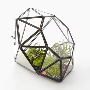 Terrario Metálico Moderno para Jardín Interior, Macetero de Vidrio, Elegante Caja de Exhibición Geométrica, Decoración para el Hogar - Product Image 1