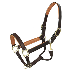 Horsekraft Collier de dressage en cuir italien rembourré, confortable, de qualité supérieure, avec boucle en laiton cousue assortie - Product Image 2