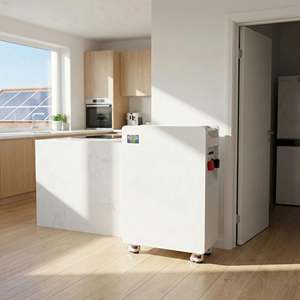 16kWh Solar Home Energy Storage <b>Battery</b> 51.2V 314Ah LiFePO4 for Hybrid Inverter <b>Backup</b> All-in-One 16kwh Lifepo4 <b>Battery</b> - Product Image 6