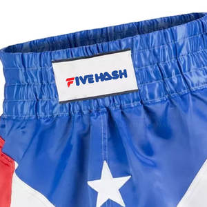 Pantalones Cortos de Entrenamiento Profesional para Muay Thai y Boxeo, Cintura Elástica, Diseños Personalizados - Product Image 6