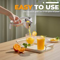Gemakkelijk schoon te maken, robuuste aluminiumlegering, handmatige sapcentrifuge, handbediende fruitpers, enkelvoudige pers, citroen- en sinaasappelgereedschap