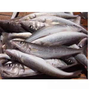 Proveedor mayorista de mariscos, bacalao congelado a la venta a precio económico - Product Image 2