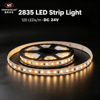 Bande LED flexible haute luminosité DC24V 120LEDs/m SMD2835, température de couleur 3000K-6000K, éclairage paysager à corps en cuivre.