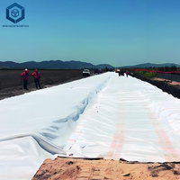 Tissu géotextile non tissé résistant à l'abrasion pour allées – Idéal pour la construction d'allées près de chez vous